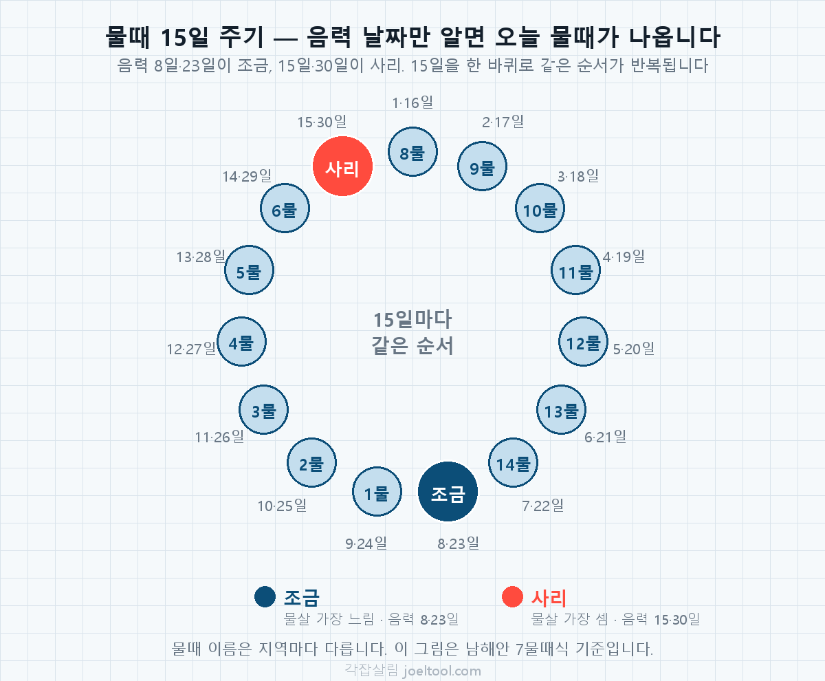 물때 15일 주기 순환도. 음력 1·16일 8물부터 시작해 8·23일 조금, 15·30일 사리로 이어지는 15일 주기를 원형으로 표시했다.