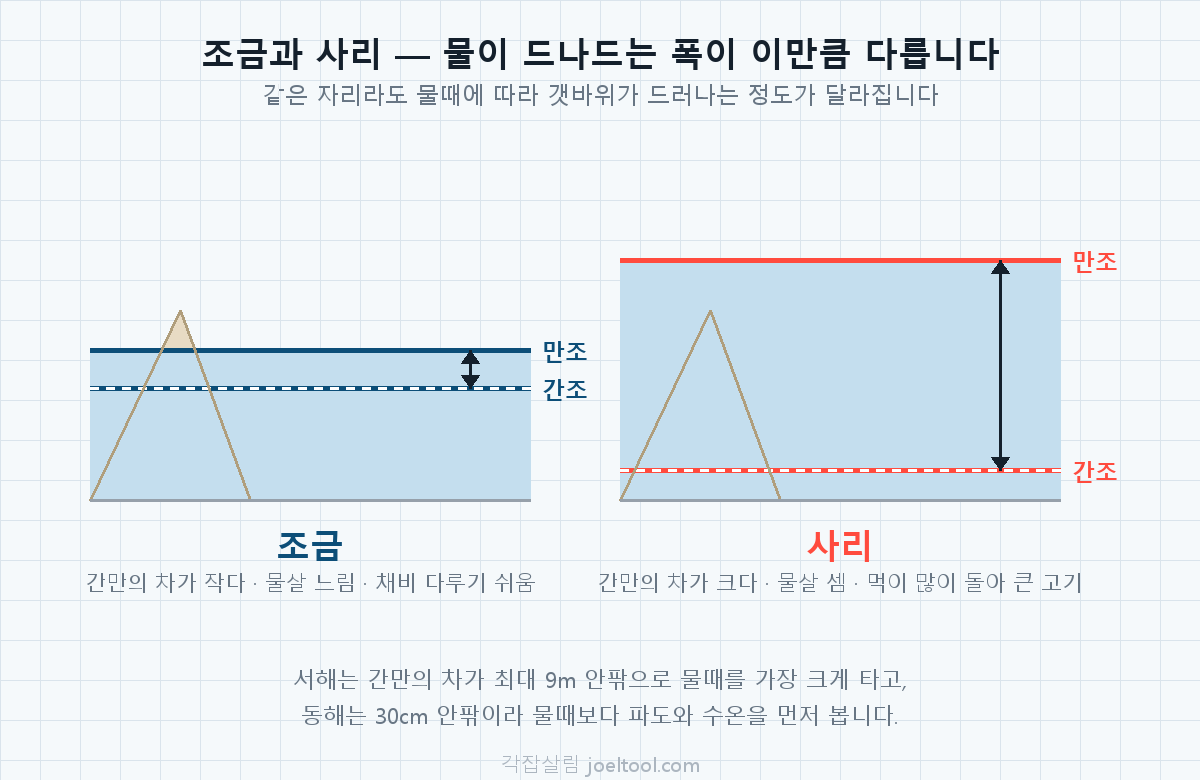 조금과 사리의 조수 간만 차이를 비교한 단면도. 조금은 만조와 간조의 높이 차가 작고, 사리는 차이가 커서 갯바위가 드러나는 정도가 달라진다.